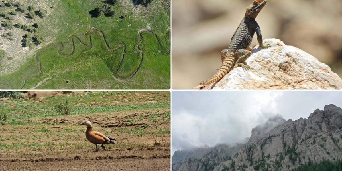 geben-vadisi-2 geben-vadisi-2.jpg