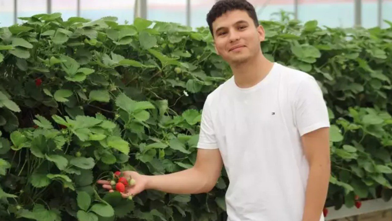 Hasatta Z Kuşağı Dönemi: Susuz Götürdü, Sulu Getirdi! 100 Milyon Lira Yatırımla Devleşti