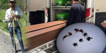 İki Farklı İlden Acı Haber! Kene Yine Can Aldı: Bir Çiftçi ve Bir Çoban Yaşamını Yitirdi