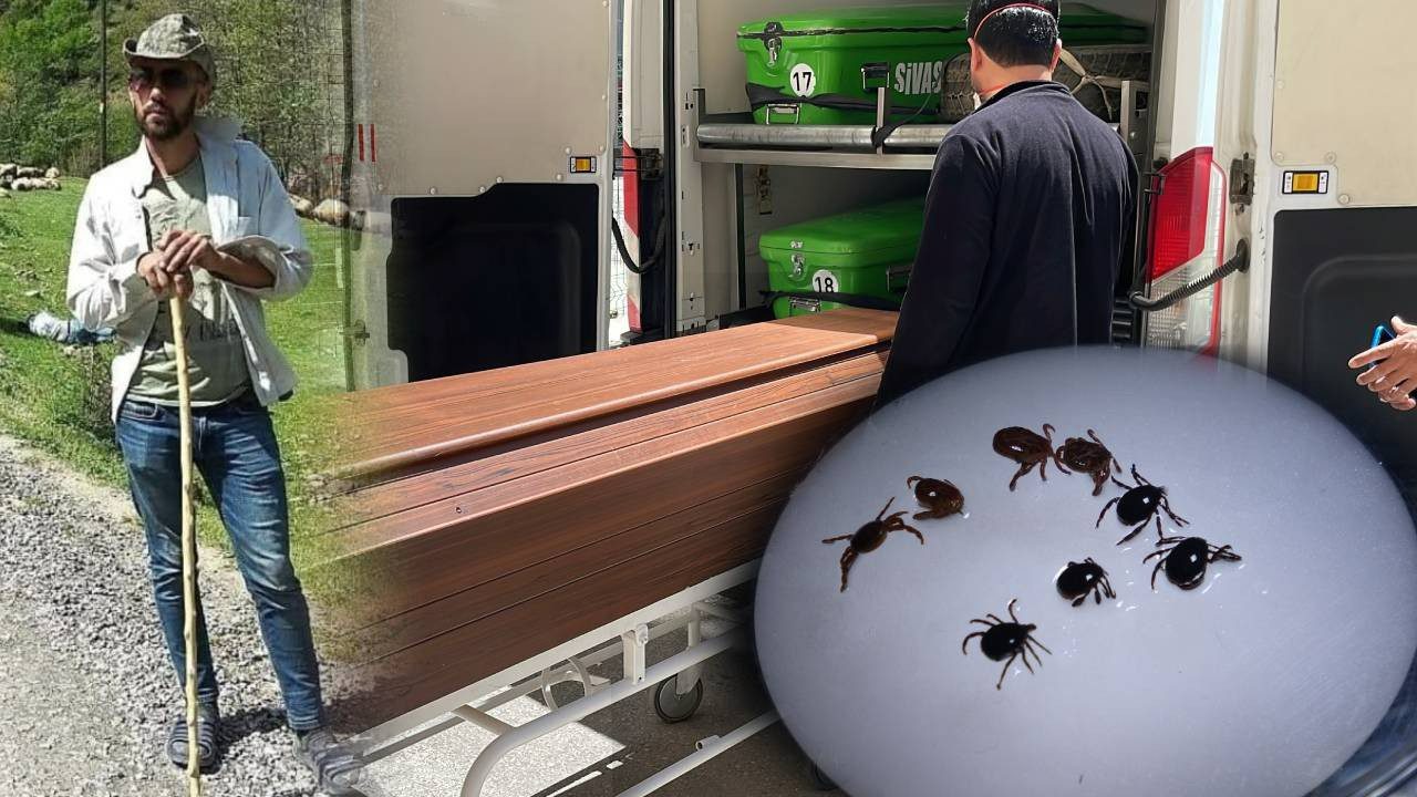 İki Farklı İlden Acı Haber! Kene Yine Can Aldı: Bir Çiftçi ve Bir Çoban Yaşamını Yitirdi