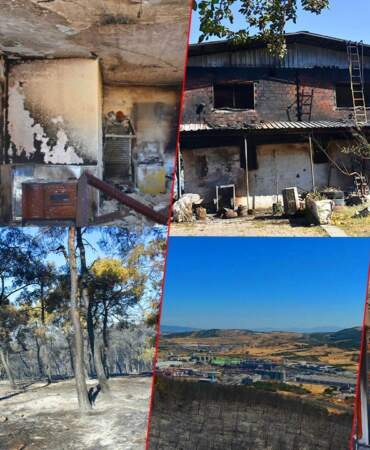 İzmir Aliağa’da Bir Ömürlük Kayıp! Yangının Ardından Yürek Burkan Kareler…