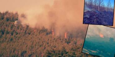 İzmir Alevlere Teslim! 175 Ev Boşaltıldı, 550 Kişi Tahliye Edildi: Müdahale Sürüyor