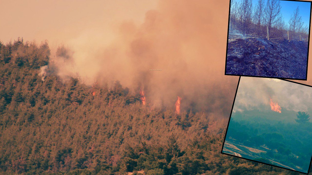 İzmir Alevlere Teslim! 175 Ev Boşaltıldı, 550 Kişi Tahliye Edildi: Müdahale Sürüyor