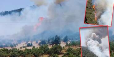 İzmir ve Aydın’da Orman Yangını: Havadan, Karadan Müdahale Başladı