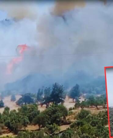 İzmir ve Aydın’da Orman Yangını: Havadan, Karadan Müdahale Başladı