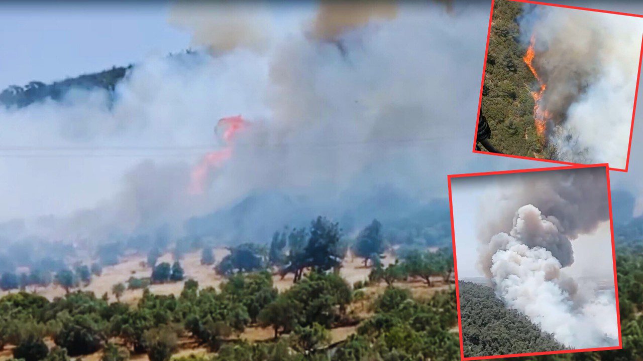 İzmir ve Aydın’da Orman Yangını: Havadan, Karadan Müdahale Başladı