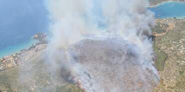 İzmir’de Orman Yangını! Müdahale Sürüyor