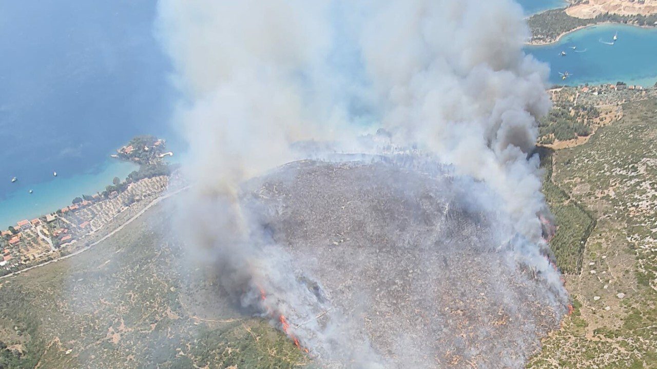 İzmir’de Orman Yangını! Müdahale Sürüyor