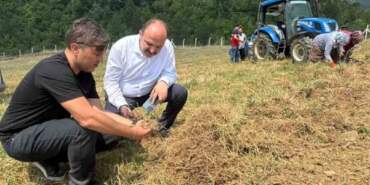 Karabük’te Altından Değerli Hasat Başladı! UNESCO Dünya Mirası Listesi’nde