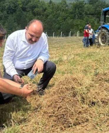 Karabük’te Altından Değerli Hasat Başladı! UNESCO Dünya Mirası Listesi’nde