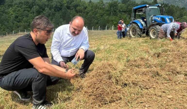 Karabük’te Altından Değerli Hasat Başladı! UNESCO Dünya Mirası Listesi’nde