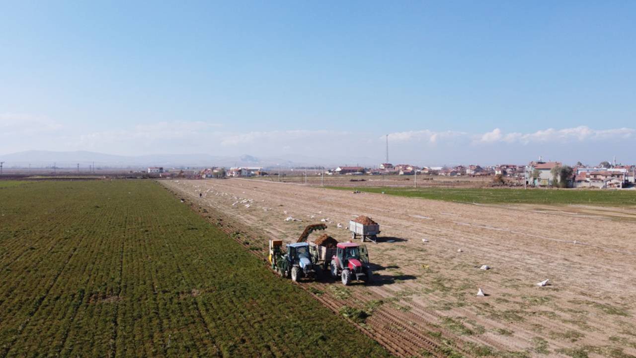 Konya’da Hasat Sezonu Başladı! Türkiye’nin Yüzde 72’sini Tek Başına Karşılıyor