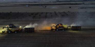 Mardin Ovası’nda Gece Gündüz Hasat Yapılıyor! Herkes 24 Saat Tarlada Çalışıyor