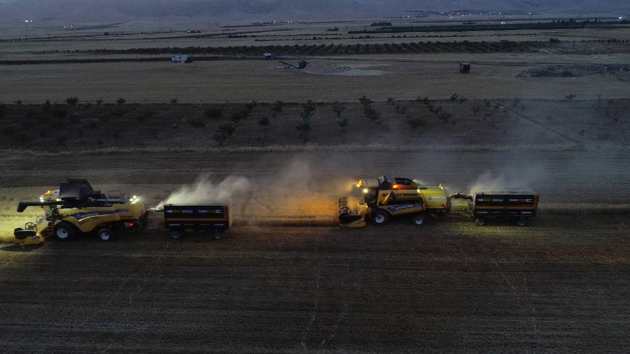 Mardin Ovası’nda Gece Gündüz Hasat Yapılıyor! Herkes 24 Saat Tarlada Çalışıyor