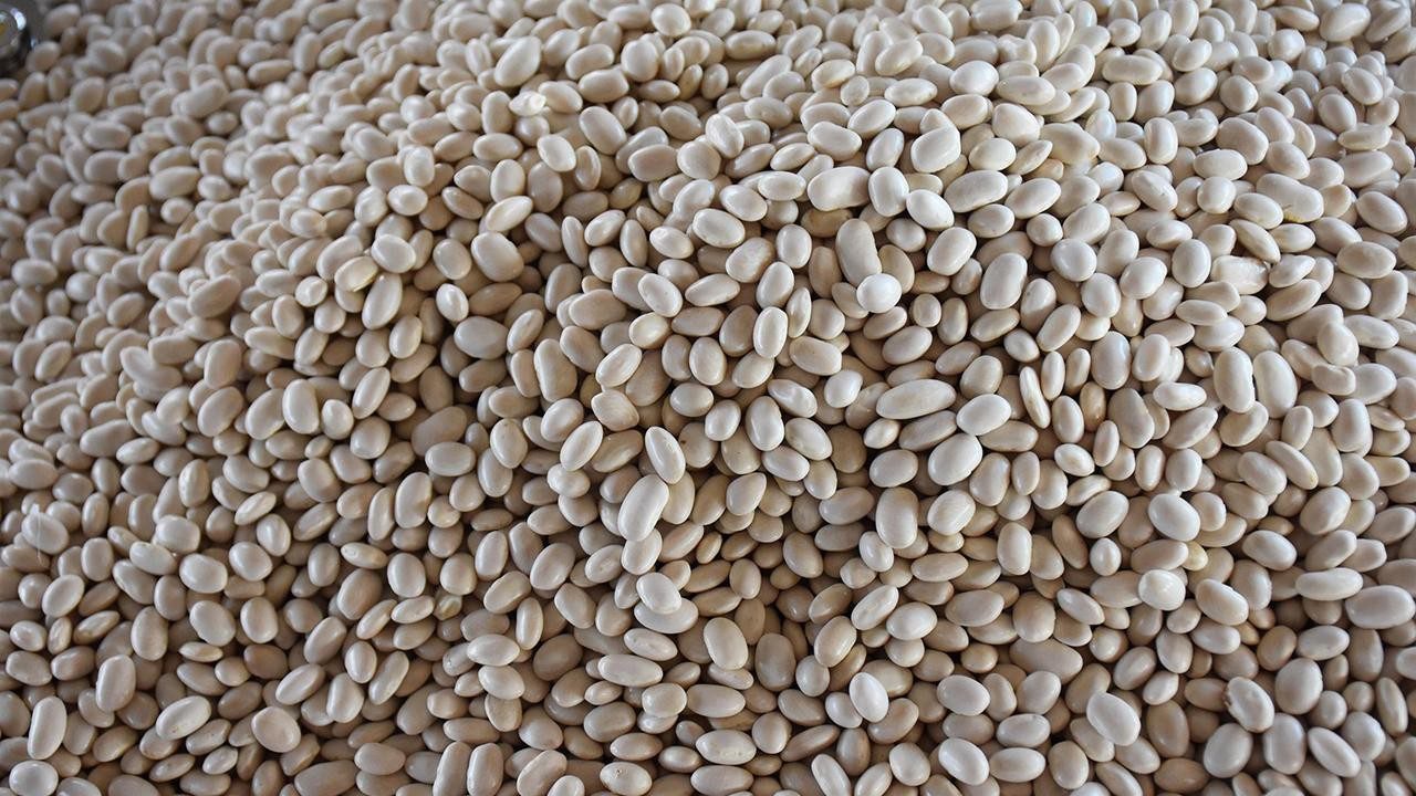 Ne Boyoz Ne Gevrek: İzmir’in Dağlarında Yetişiyor, Sessizce Coğrafi İşaret Aldı