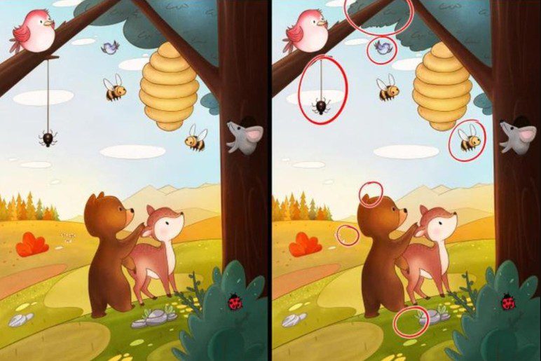 Huzurlu bir ormandaki hayvanları gösteren iki resim arasındaki 7 farkı sadece dâhiler 20 saniyede buluyor - Resim : 5