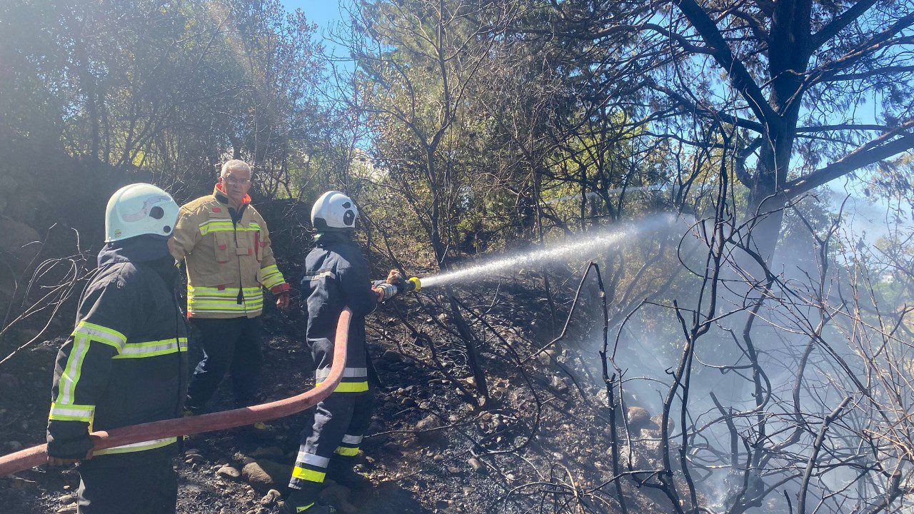 Ormanlık Alanda Çıkan Yangın Söndürüldü
