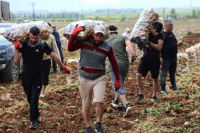 ‘Özel İşçiler’ Bir Günde Tonlarca Ürünü Yüklüyorlar… Aylık Kazançları Dudak Uçuklattı! Asgari Ücretin Neredeyse 5 Katı