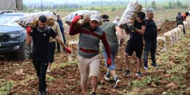 ‘Özel İşçiler’ Bir Günde Tonlarca Ürünü Yüklüyorlar… Aylık Kazançları Dudak Uçuklattı! Asgari Ücretin Neredeyse 5 Katı
