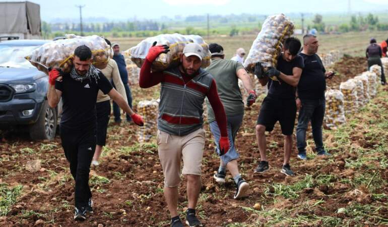 ‘Özel İşçiler’ Bir Günde Tonlarca Ürünü Yüklüyorlar… Aylık Kazançları Dudak Uçuklattı! Asgari Ücretin Neredeyse 5 Katı