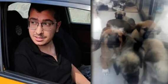 Sahiplendi, İşkence Etti, Katletti… Cani Doktorun Telefonundan Tam 43 Bin Müstehcen Görüntü Çıktı