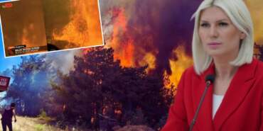 Sakarya’da Başlayan Yangın Bilecik’e Sıçradı! Belediye Başkanı Melek Mızrak Subaşı’dan Hava Aracı Çağrısı