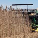 Samsun Dev Endüstriyel Üreticisi Batıyor! Konkordato İlan Etti