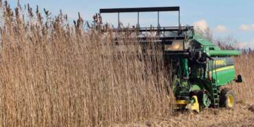 Samsun Dev Endüstriyel Üreticisi Batıyor! Konkordato İlan Etti