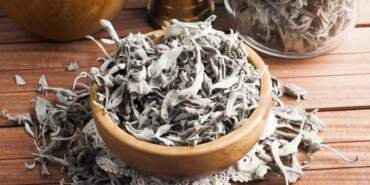 Şifa Diye İçilen Kurutulmuş Adaçayında Büyük Tehlike! Kimse Bilmiyordu, Sevkiyatta Ortaya Çıktı