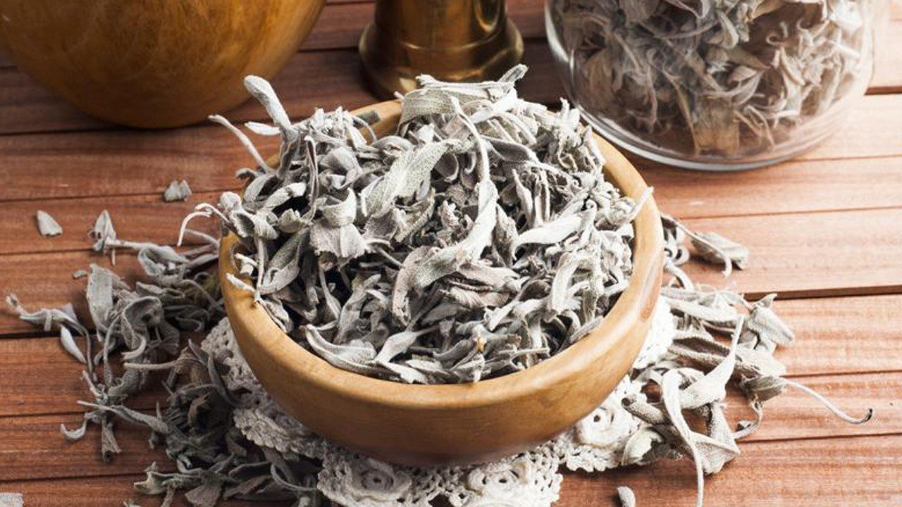 Şifa Diye İçilen Kurutulmuş Adaçayında Büyük Tehlike! Kimse Bilmiyordu, Sevkiyatta Ortaya Çıktı