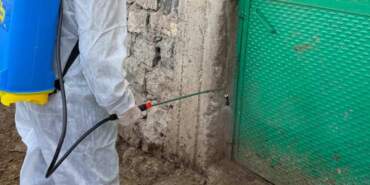 Şırnak’ta Şap Hastalığı Görülen Köye Hayvan Giriş Çıkışları Yasaklandı