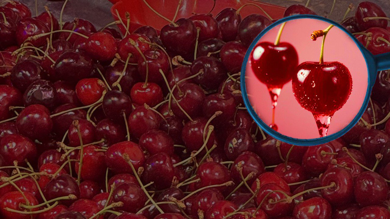 Tane Kirazın Fiyatı Sosyal Medyayı Karıştırdı! Gören İnanamadı Yapay Zeka Sandı