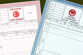 Tapu Renkleri Ne Anlama Geliyor? Mavi ve Kırmızı Tapu Arasındaki Farklar Nelerdir?