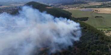 Tokat’ta Orman Yangını! 20 Dönüm Küle Döndü