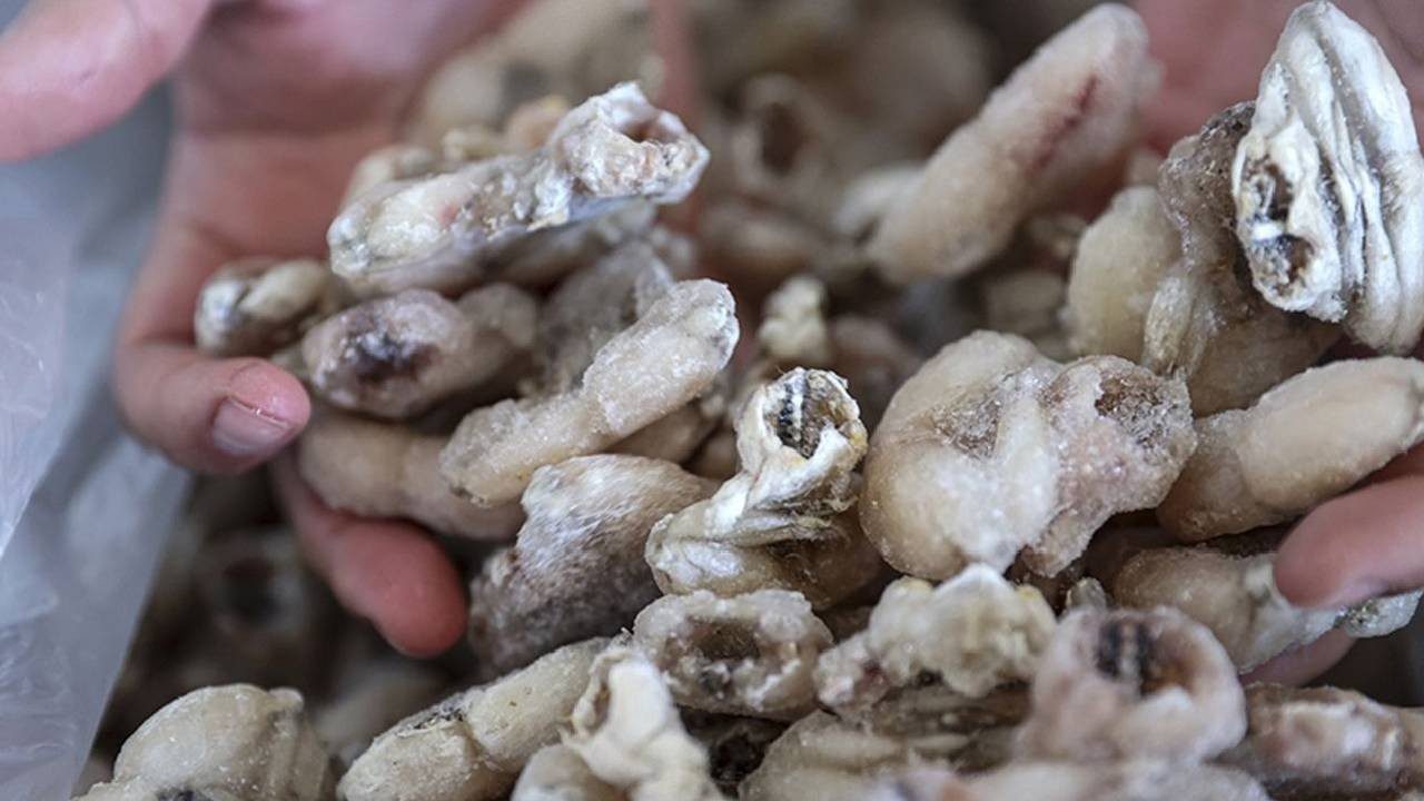 Türkiye’den Şişlere Takılıyor, Fiyatı Altınla Yarışıyor: İtalyanlar Bayılıyor Her Biri 1.700 TL’ye Satılıyor