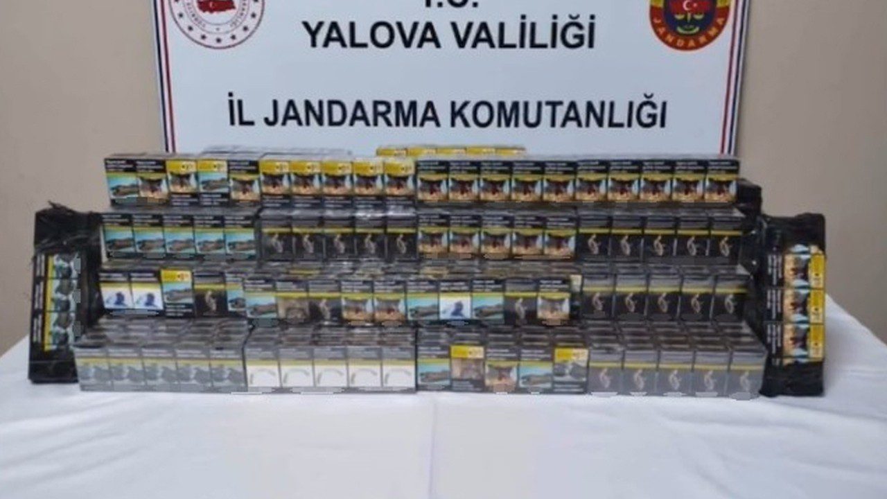 Yalova’da Kaçak Sigara Operasyonu: Bir Kişi Gözaltında