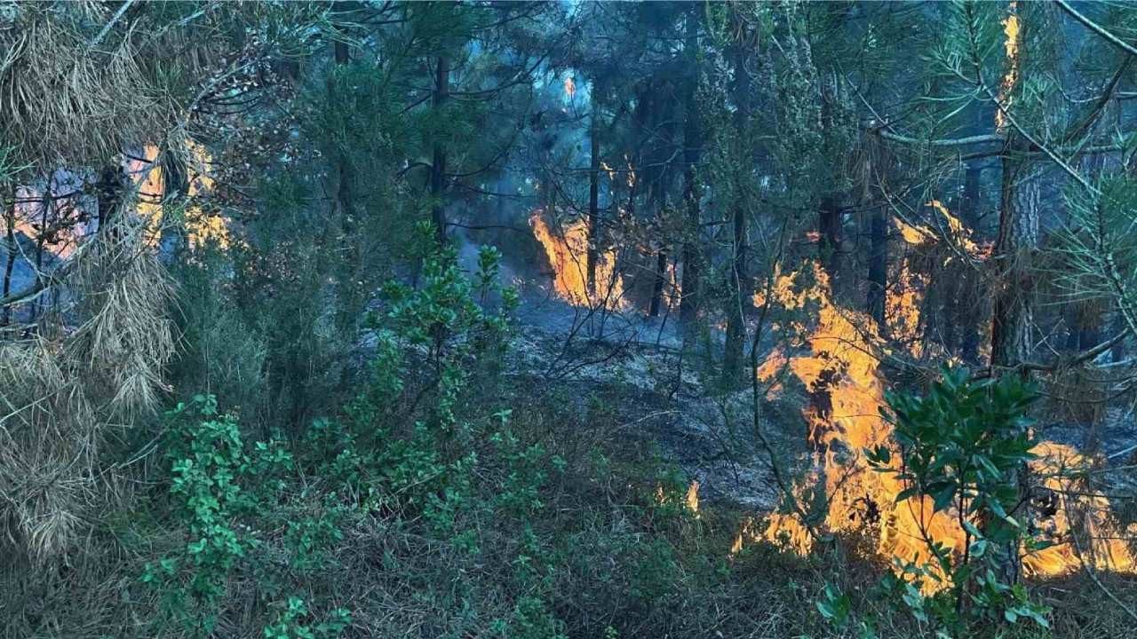 Yangın Riskine Karşı Kritik Uyarı: Yasal İşlem Uygulanacak