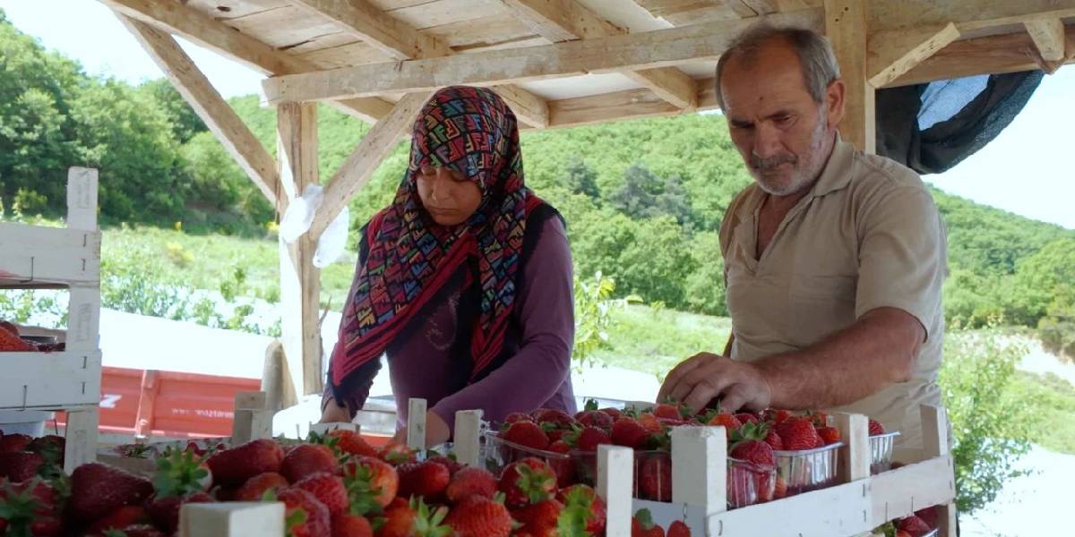 yeni-proje-7.jpg