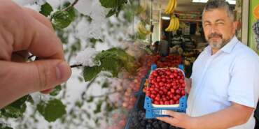 Zirai Don Vurdu, Ağaçlarda Meyve Kalmadı! Hem Alan Hem Satan Sıkıntıda; Kilosu 50 Liradan 500 Liraya Fırladı…