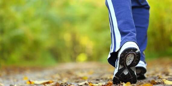 10 Bin Adım Efsanesi Çöktü! Bilim İnsanları Gerçeği Açıkladı