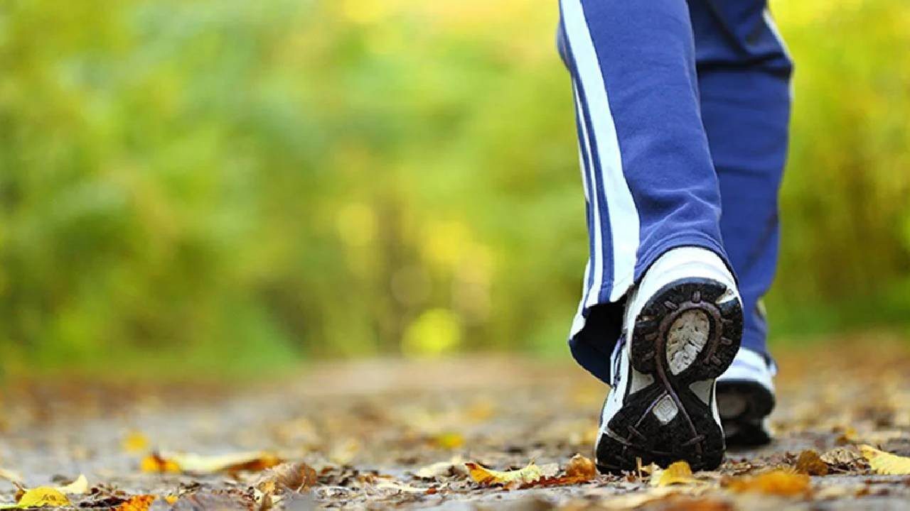 10 Bin Adım Efsanesi Çöktü! Bilim İnsanları Gerçeği Açıkladı