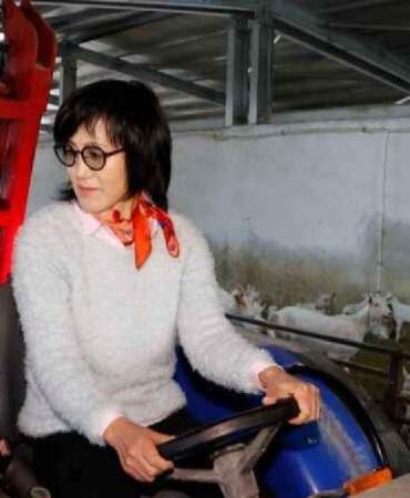Güney Kore’den geldi hayalini Türkiye’de gerçekleştirdi! Fabrikasını kurdu, 22 dönümde harıl harıl çalışıyor