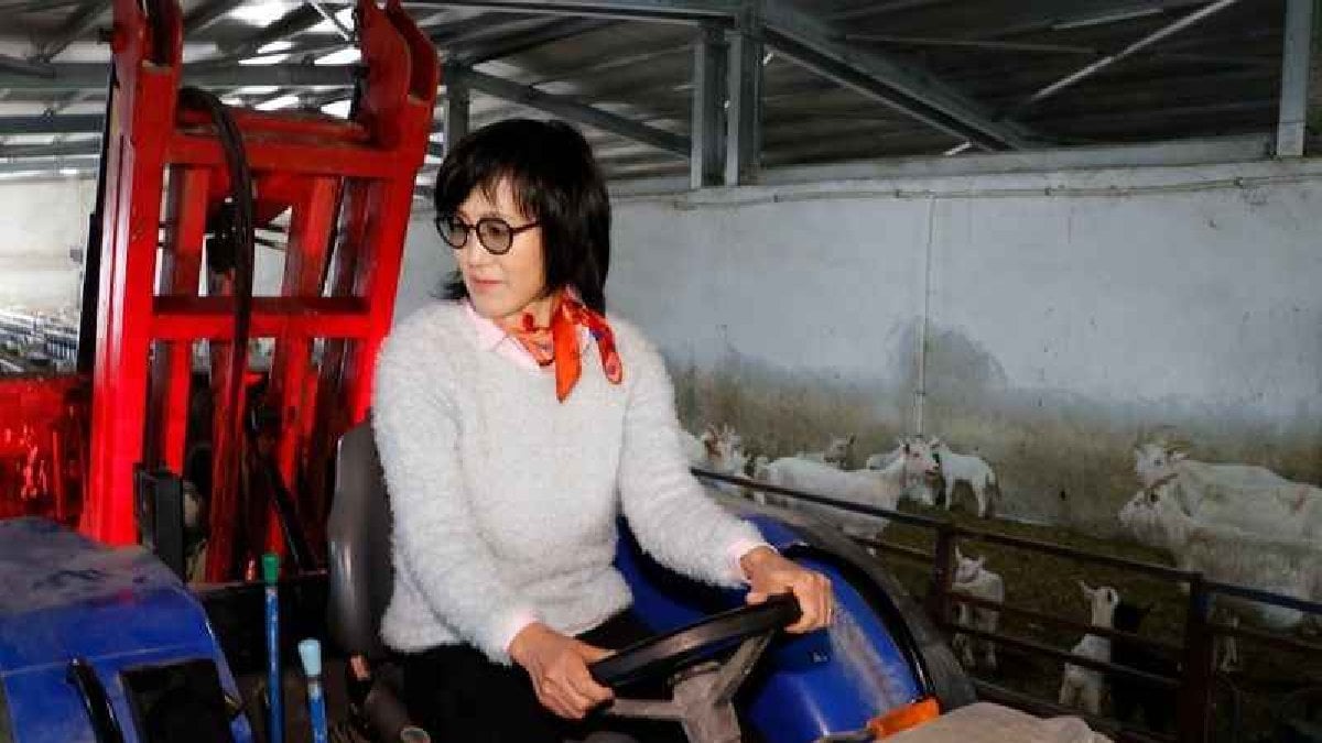 Güney Kore’den geldi hayalini Türkiye’de gerçekleştirdi! Fabrikasını kurdu, 22 dönümde harıl harıl çalışıyor