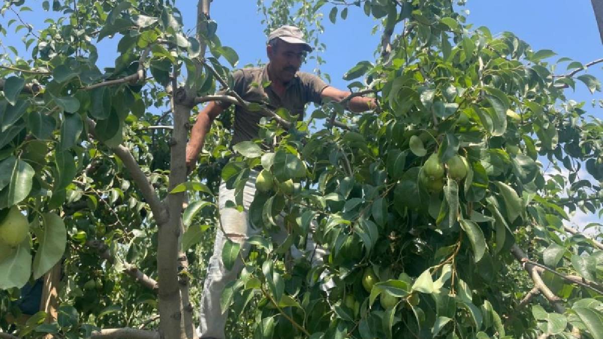 Maliyeti yüksek olsa da üretici ‘Kalite’ için vazgeçmiyor! Tek tek elle yapılıyor: Günlüğü 1200 TL’ye zorlu mesai sürüyor