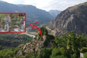 Kırmızı listede yer alıyordu…  ‘Orman Hayaleti’ Erzincan’da görüldü