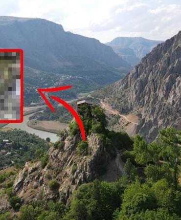 Kırmızı listede yer alıyordu…  ‘Orman Hayaleti’ Erzincan’da görüldü
