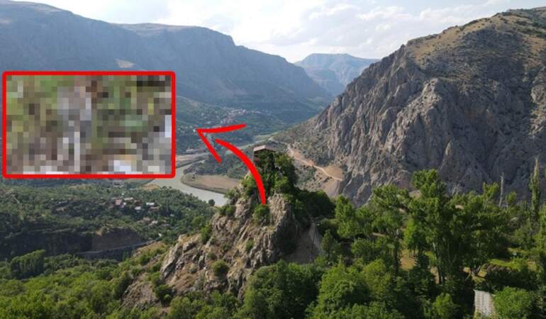Kırmızı listede yer alıyordu…  ‘Orman Hayaleti’ Erzincan’da görüldü