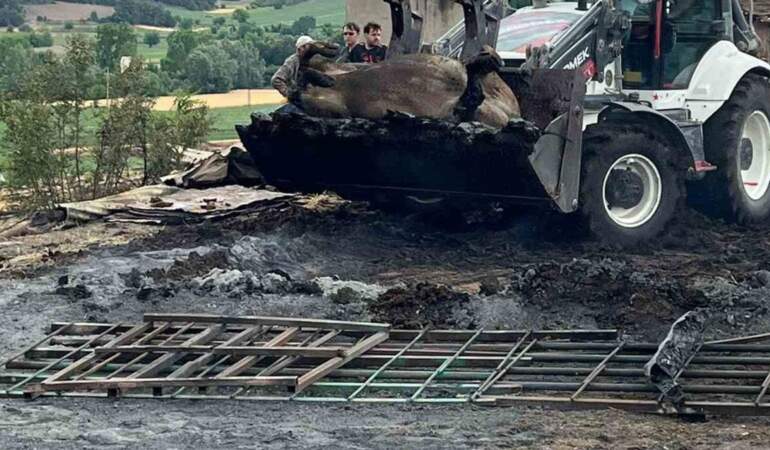 Bilecik’te orman yangınlarının acı bilançosu belli oldu