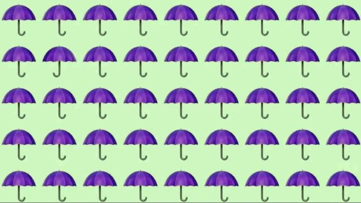 Görsel zeka testi: Farklı şemsiyeyi 6 saniyede bulabilenler üstün zekalı sayılıyor