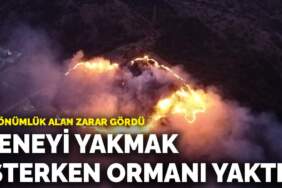 Keneyi yakmak isterken ormanı yaktı: 5 dönümlük alan zarar gördü